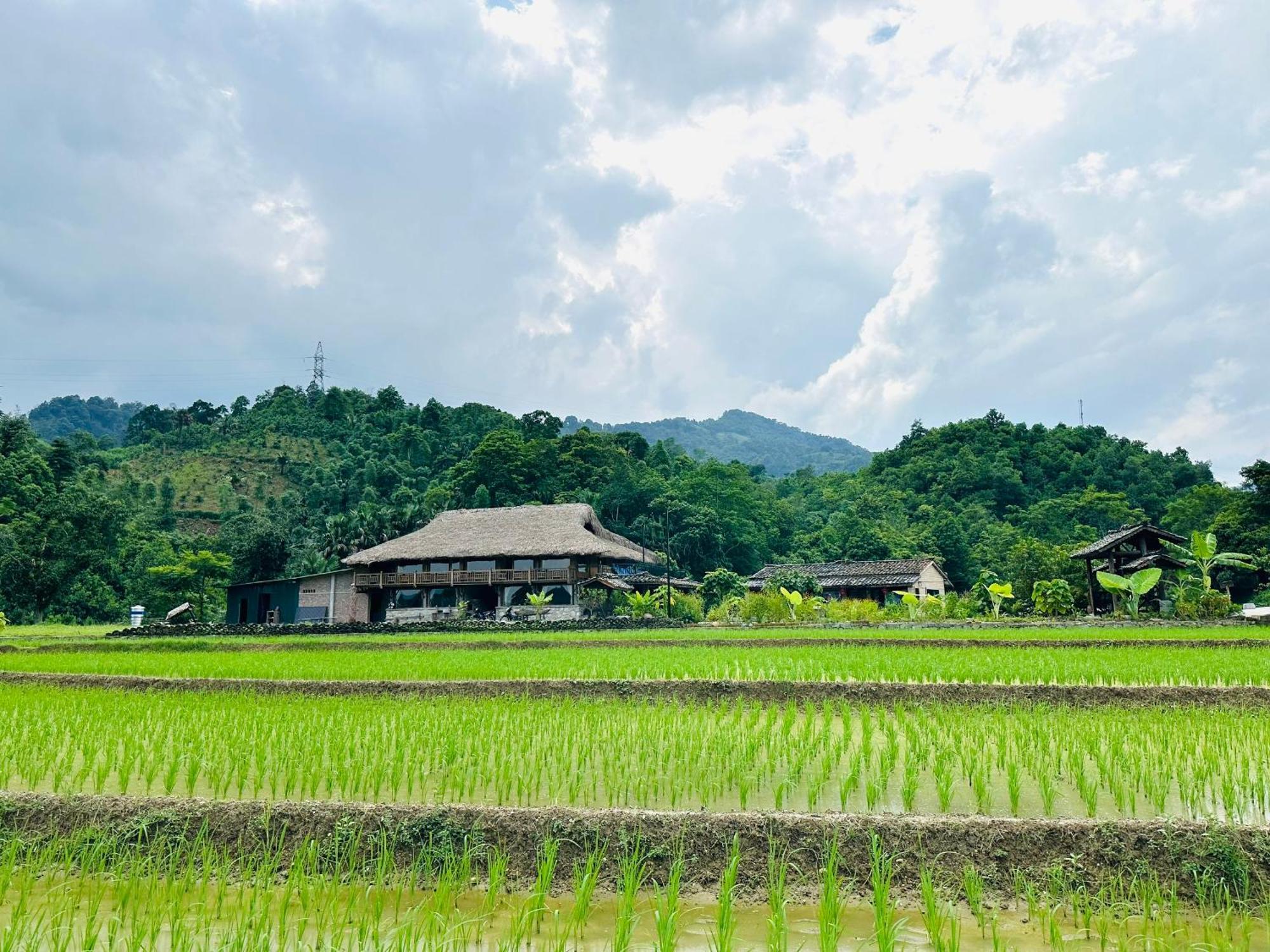 Ban Bang Ecolodge Tours & Motorbike Rental Ha Giang Exterior photo